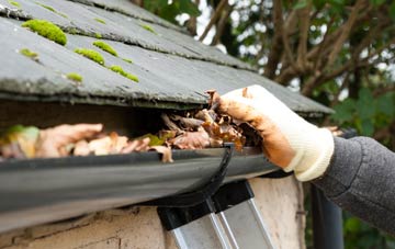 gutter cleaning Lydgate