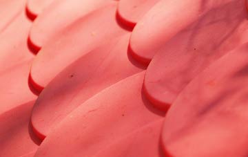 Lydgate plastic roof costs