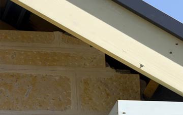 soffit repair Lydgate